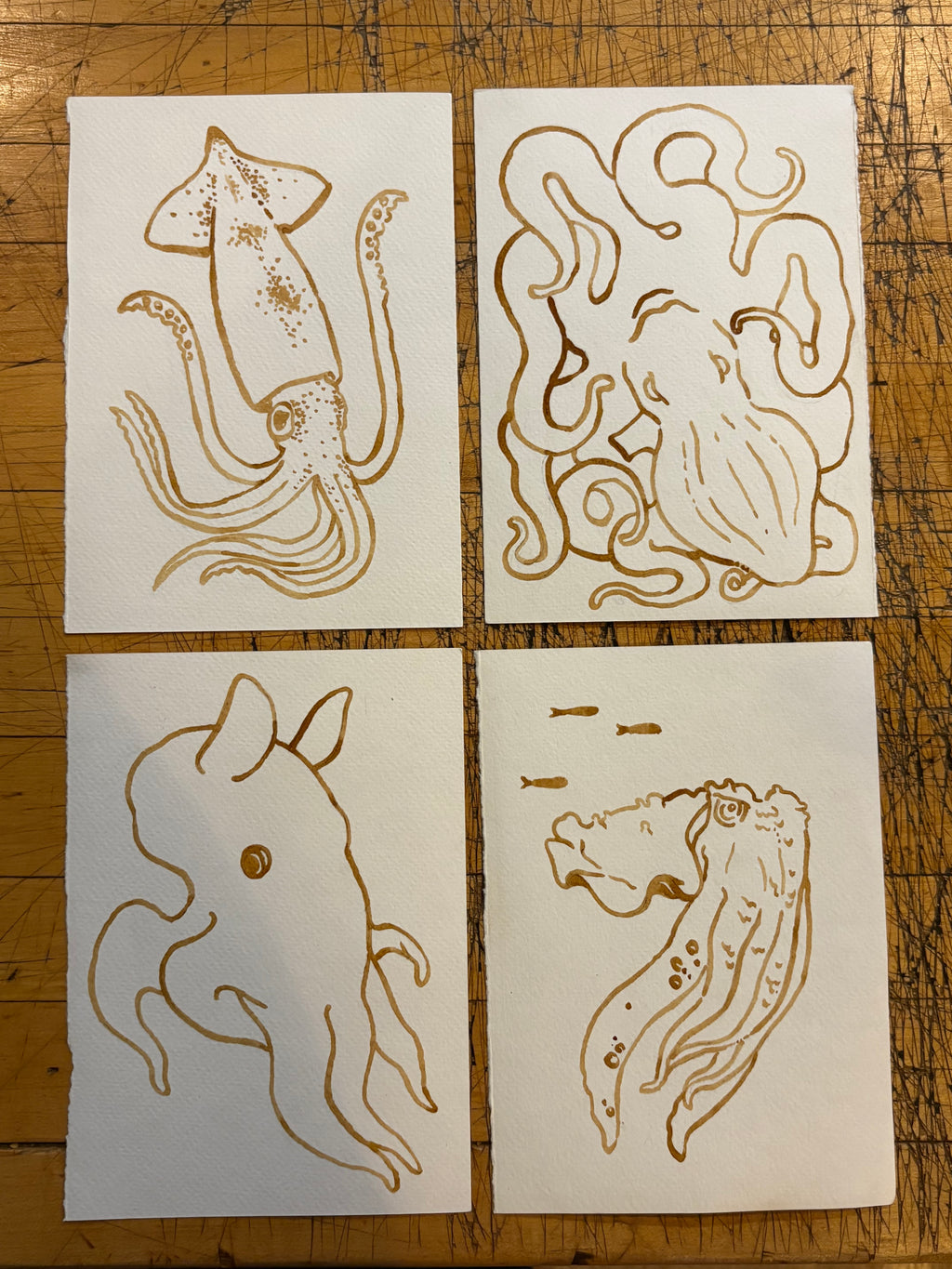 Four hand-painted espresso sea creature prints: squid, octopus, sea pig, and seahorse