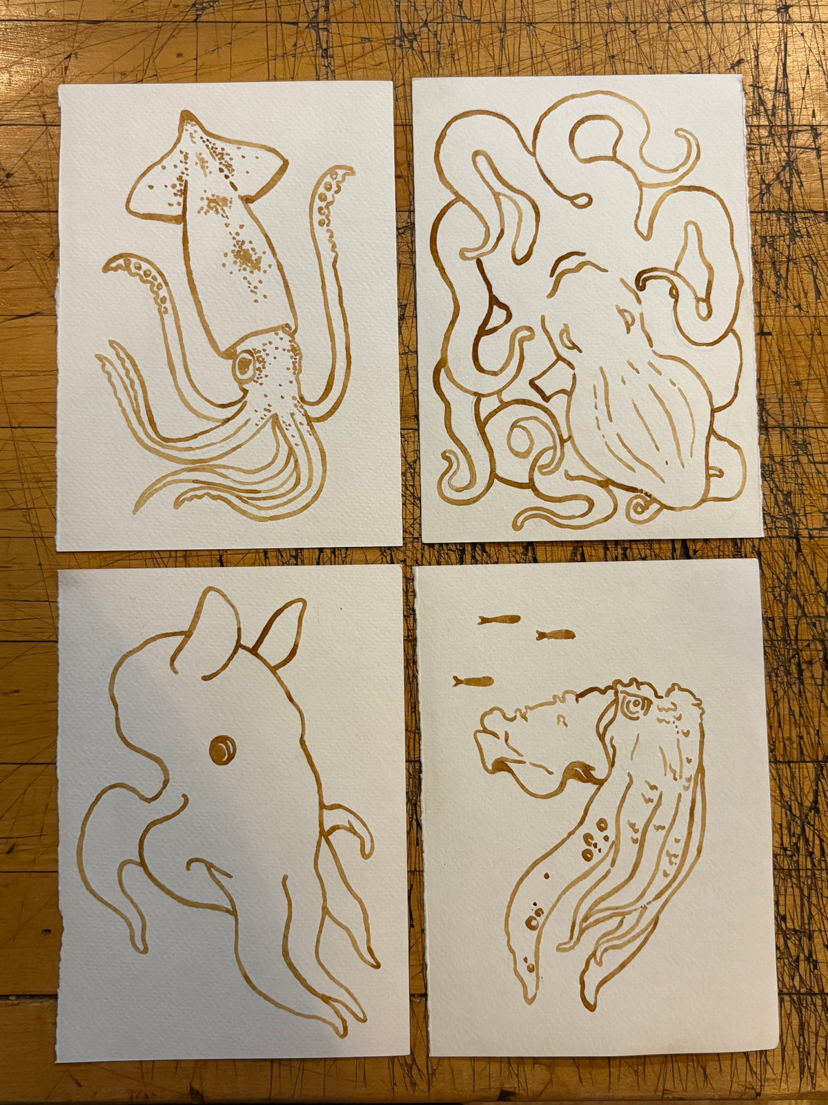 Four hand-painted espresso sea creature prints: squid, octopus, sea pig, and seahorse